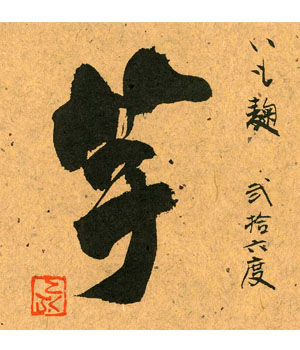 いも麹　芋
