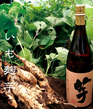 いも麹　芋