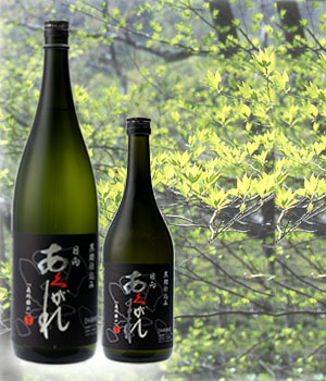 日向　あくがれ 黒麹