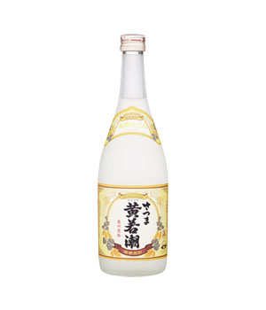 さつま黄若潮