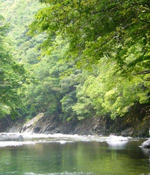 川辺
