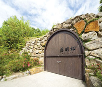 株式会社祁答院蒸溜所