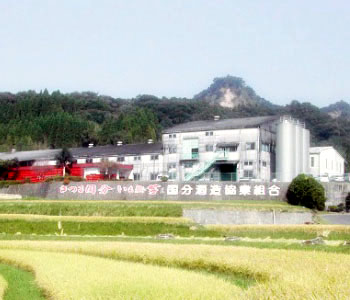国分酒造協業組合