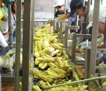 小牧醸造株式会社