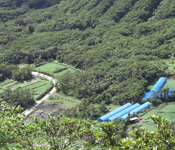 青ヶ島酒造合資会社