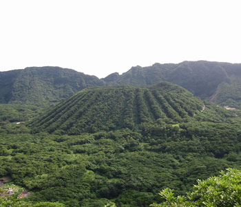 青ヶ島酒造合資会社