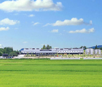 大口酒造株式会社