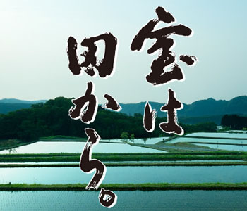 宝酒造株式会社
