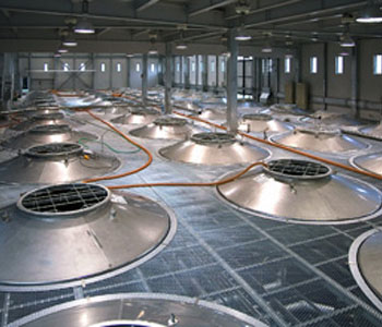 霧島酒造株式会社
