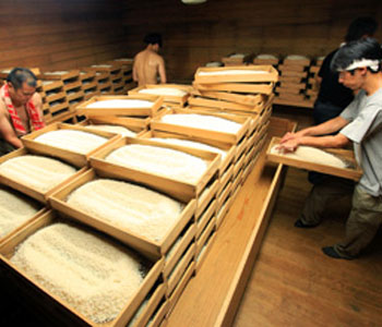 有限会社中村酒造場