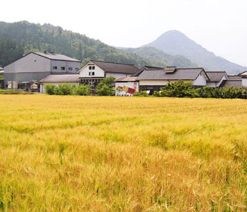 老松酒造株式会社